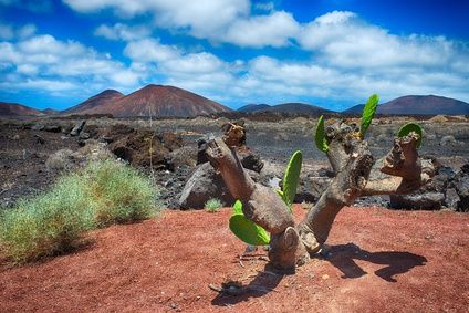 Lanzarote, Canary Islands, Spain 1