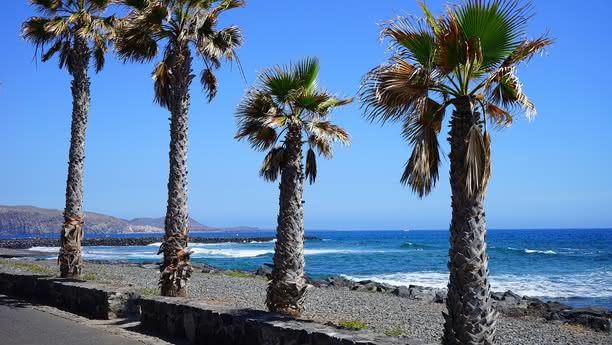 tenerife-city-content_1