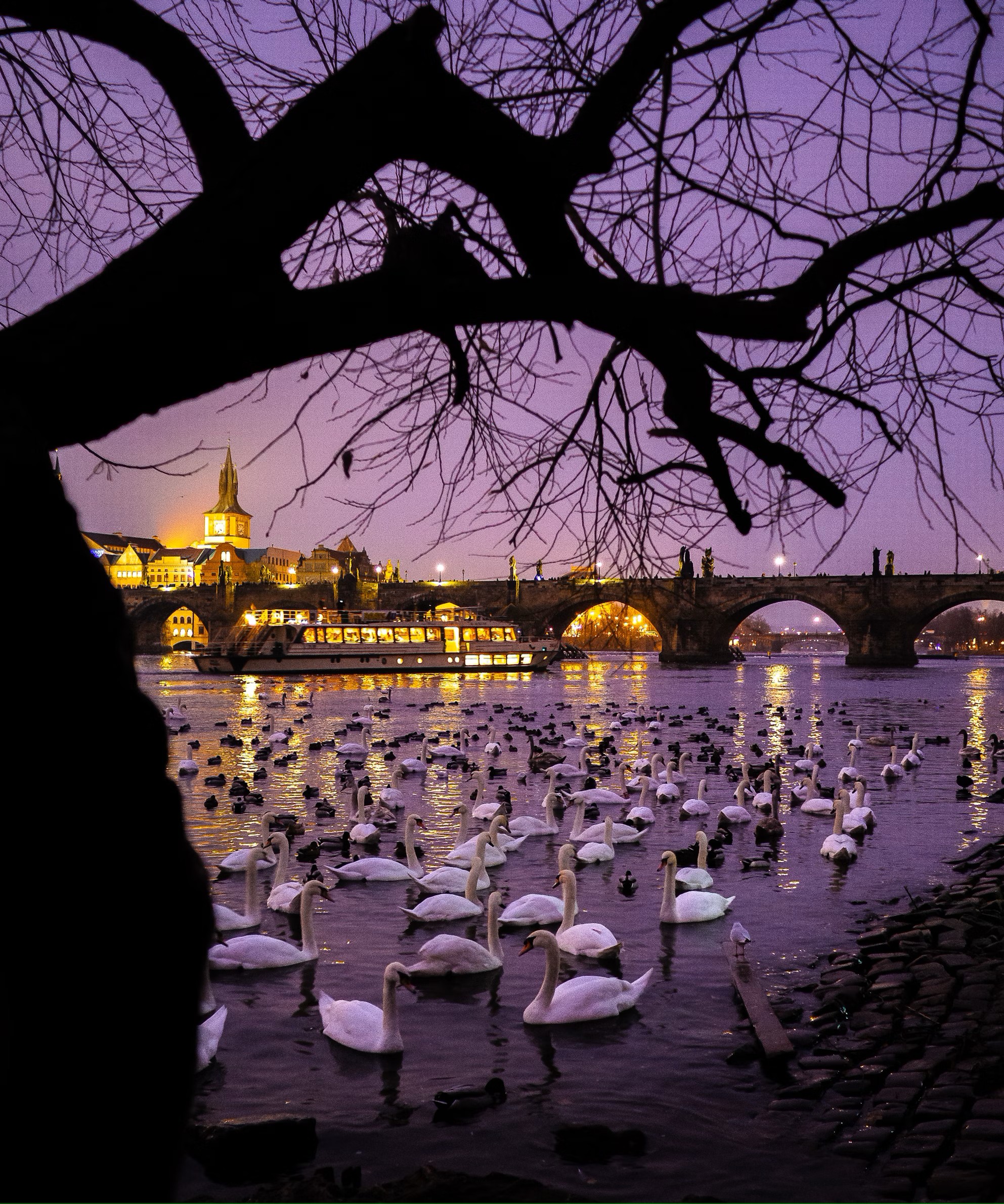 Karlův most