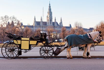 https://www.sixt.cz/User_Files/contenttemplateeditor/656f0c584084eWien-city-2.jpg