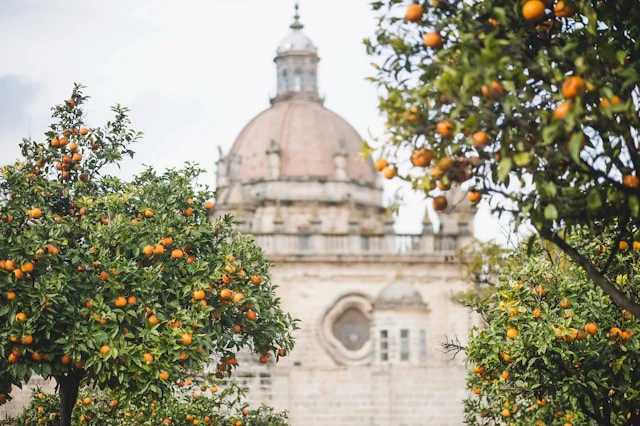 https://www.sixt.cz/User_Files/contenttemplateeditor/682ee89ebd3fdsixt-jerez-de-la-frontera.webp