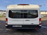 Ford Transit 2.0 Trend